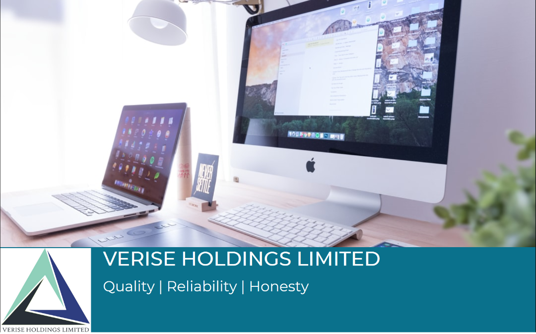 Verise Holdings Limited - About Us